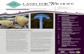 South East Queensland - Home - Land for Wildlife...Newsletter of the Land for Wildlife Program South East Queensland South East Queensland APRIL 2017 Volume 11 Number 2 ISSN 1835-3851