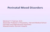 Perinatal Mood Disorders - obgpathways.com · Bipolar Disorder: Course During Pregnancy Viguera, et al. 2007 • 89 pregnant women with bipolar I or II followed through pregnancy