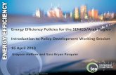 Energy Efficiency Policies for the SEMED/Arab Region …€¦ · 4. Develop additional, regional potential policies Discuss additional policies especially applicable to the SEMED/Arab