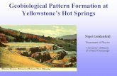 Geobiological Pattern Formation at Yellowstone’s Hot Springsonline.itp.ucsb.edu/online/pattern_c03/goldenfeld/pdf/Goldenfeld.pdfOutline • What is Geobiology? – Biocomplexity