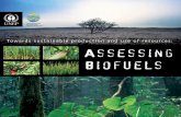 Towards sustainable production and use of resources › shared › publications › pdf › WEBx0149xPA-AssessingB… · and perspectives towards sustainable production and use of