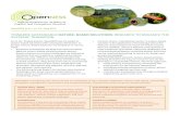 nature-based solutions: research To enhance The sysTemic ... › sites › default › files › OpenNESS_brief_02.… · Towards susTainable nature-based solutions: research To enhance