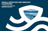 SQUALL DETECTION AND HINDCAST VALIDATIONS...SQUALL DETECTION AND HINDCAST VALIDATIONS L. Renac, Aktis Hydraulics SEASTATE CCI 2019. Squalls Identification 1. Introduction 1. Squalls