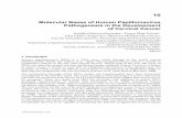 Molecular Bases of Human Papillomavirus Pathogenesis in ... › pdfs › 26634 › InTech-Molecular_bases_… · 10 Molecular Bases of Human Papillomavirus Pathogenesis in the Development