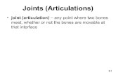 Joints (Articulations) - Dr. Michael Belanich€¦ · Joints (Articulations) ... – nourishes articular cartilage and removes waste – makes movement of synovial joints almost friction