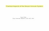 Practical Aspects of the Mouse Immune System...Practical Aspects of the Mouse Immune System Hyun Park Exp. Immunol. Branch, CCR, NCI, NIH 1. Overview of the immunological organs and