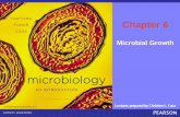Chapter 6duncanross.net/MIC2010/_ch_06_lecture_presentation.pdf · © 2013 Pearson Education, Inc. Microbial Growth Increase in number of cells, not cell size Populations Colonies