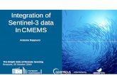 Integration of Sentinel-3 data InCMEMS · acceptance of the Marine Core Service as a GMES Fast Track. • MYOCEAN Project, with its 61 partners from 29 countries, was launched on