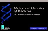 CHAPTER TABLE OF CONTENTS Molecular Genetics of Bacteria › psaxena › BIO366 › figures › MGB_TOC.pdf · CHAPTER TABLE OF CONTENTS. Mutations and Genetic Analysis. Figure 3.1
