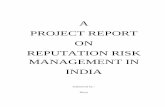 A PROJECT REPORT ON REPUTATION RISK MANAGEMENT IN …easyonlinebooks.weebly.com › uploads › 1 › 1 › 0 › 7 › ... · frequently a loss of reputation that deals the final
