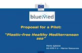 Proposal for a Pilot - gov.il · Proposal for a Pilot: ... textiles, clothes and shoes Recycling of plastic litter and production of construction panels . Plastic marine litter: actions