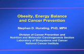Obesity, Energy Balance and Cancer Preventionsuper7/30011-31001/30441.pdf · Stephen D. Hursting, PhD, MPH Division of Cancer Prevention and Nutrition and Molecular Carcinogenesis