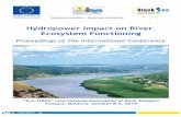Hydropower Impact on River Ecosystem Functioning · Hydropower Impact on River Ecosystem Functioning Proceedings of the International Conference “Eco-TIRAS” International Association