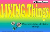 Characteristics of Living Things - Chenango Forks …energy for most living things.$ – Plants use the energy in sunlight to make food – Animals get energy by eating plants or other