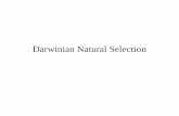 Darwinian Natural Selectiondgray/Evol322/Chapter3.pdf · Natural selection is not predictive • Evolution by natural selection is a consequence of the fitness of phenotypes in preceding