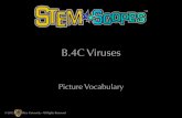 B.4C Viruses · 2017-04-18 · genetic material Refers to nucleic acids; DNA and RNA © 2012 Rice University - All Rights Reserved