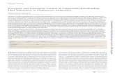 Prezygotic and Postzygotic Control of Uniparental Mitochondrial DNA Inheritance … › content › mbio › 4 › 2 › e00112-13.full.pdf · mtDNA inheritance pattern. The data