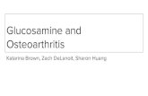 Glucosamine and Osteoarthritis...Global glucosamine market valued at $2 billion in 2008 Clegg DO, et al. Glucosami3;354(8):795-808. PubMed PMID: 16495392. ... Physicians Desk Reference,