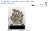 Prognostic and Management of CMV Fetal Infection › ...CMV-Fetal-Infection-Pr... · Heart Calcifications Hydrops Growth Restriction / Small for GA Extra-cerebral ultrasound features