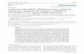 Long non-coding RNA UICLM promotes colorectal cancer liver ... · Colorectal cancer (CRC) is the second most common and the third leading cause of cancer-related deaths worldwide