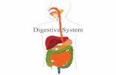 Digestive System - WordPress.com€¦ · Digestive System. Function •Ingestion •Digestion •Absorption •Elimination. ... Salivary glands Tongue Parotid gland Sublingual gland