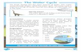 The Water Cycle€¦ · in the cycle. Did You Know? The water you drink today could have been used in a dinosaur’s bath! Accumulation Accumulation is water stored in rivers, lakes,