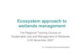Ecosystem approach to wetlands managementunepscs.org › Wetlands_Training › Wetland Management › 14... · Wetland characteristics that need attentions in management practices.