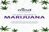 THE BODY’S RESPONSE TO MARIJUANA - NIDA for Teens€¦ · MARIJUANA THE BODY’S RESPONSE TO Hi there! Mind Matters is a series that explores the ... even though science hasn’t