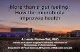 More than a gut feeling: How the microbiota improves health · Lactobacillus casei strain Shirota (Yakult) Lactobacillus plantarum 299v (Probi Foods) Lactobacillus crispatus CTV05