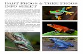 DART FROGS & TREE FROGS InFO ShEET - Weird …...Many species of tree frogs have dramatic colouration to startle enemies, and some can change their colour to camouflage themselves.