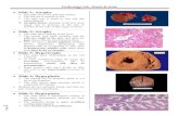 Pathology lab- Sheet & slide - JUdoctors › 2012 › 09 › pathology-lab.pdfPathology lab- Sheet & slide e 3 Slide-9: Anthracosis The slide shows lung tissue with anthracosis. There