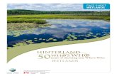 Wetlands - Hinterland Who's Who€¦ · Types of wetlands there are five major types of wetlands: shallow open water wetlands, marshes, swamps, bogs and fens, the last two being peatlands.