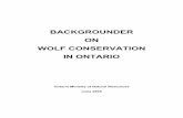 BACKGROUNDER ON WOLF CONSERVATION IN Backgrounder on Wolf Management in Ontario June 2005 4 3.0 WOLF
