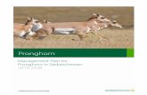 This publication may be cited as: For copies of this publication, …€¦ · and species management plans for pronghorn, upland game birds, elk, moose, white-tailed deer, mule deer,