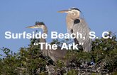 Surfside Beach, S. C. “The Ark”€¦ · The Ark Plantation (possibly originally owned by a Mr. Aark). ... Diary of a Journey through the Carolinas, Georgia, and Florida July 1,