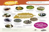 Astounding Autumn! - The Joules Journal Astounding Autumn! Did you find them all? Ready to get detecting?