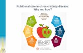 Nutritional care in chronic kidney disease: Why and how? · A patient’s perspective (2) 94 50,8 91 20 23 24 22 26 40 41 39 32 42 92 98 92 95 DEC/2015 FEB/2016 AUG/2016 NOV/2016