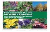 RESISTANT PLANTS HOME LANDSCAPES · resistant plants in the landscape. Equally important is proper plant placement, plant spacing, and ongoing plant maintenance. These practices,