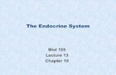 The Endocrine System - Napa Valley Collegenapavalley.edu/.../AR_NVC_Bio105_lect13_endocrine.pdf · The Endocrine System Biol 105 Lecture 13 Chapter 10. Copyright © 2009 Pearson Education,