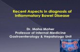 Inflammatory bowel disease (IBD) is ansmh.mans.edu.eg/files/pdf/conf/2012/10_IBD_ آ  Inflammatory bowel