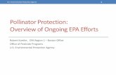 Pollinator Protection: Overview of Ongoing EPA … › dacf › php › pesticides › documents2 › ...Pollinator Protection: Overview of Ongoing EPA Efforts Robert Koethe , EPA