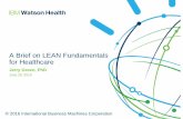 A Brief on LEAN Fundamentals for Healthcare · Define Value from the customer’s perspective. 2. Map the Value Streams and identify issues and constraints. Things that impede what