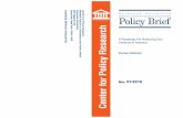 Policy Brief 51: A Roadmap for Reducing Gun Violence in ... · purchasing a gun if that violent misdemeanor was a domestic battery charge. Thirteen additional states extend this beyond