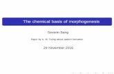 The chemical basis of morphogenesis - uni …jeti.uni-freiburg.de/.../Presentation_Severin_Final.pdfSeverin Bang The chemical basis of morphogenesis 29 November 2016 21 / 25 ConceptModelTuring-AnalysisPattern
