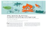 The sparks & honey - Deloitte United States...The sparks & honey Culture brieng workgroup cessful briefing, the group might raise comparisons of global markets as indicators of shifts