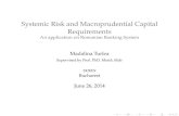 Systemic Risk and Macroprudential Capital Requirementsfinsys.rau.ro/docs/5-msc-turlea.pdf · Systemic Risk and Macroprudential Capital Requirements ... Systemic Risk and Macroprudential