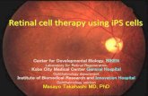 Retinal cell therapy using iPS cells · Retinal cell therapy using iPS cells Center for Developmental Biology, RIKEN ... Masayo Takahashi MD, PhD. embryonic tissue. neural stem cell.