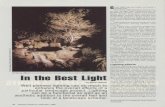 In the Best Light - Michigan State Universityarchive.lib.msu.edu/tic/wetrt/article/1985may42.pdfpurpose and becomes part of the total landscape. Poor lighting gives il-lumination without