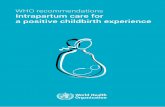 WHO recommendations Intrapartum care for a positive childbirth …febrasgo.mccann.health/childbirth_experience_2018.pdf · 2018-07-03 · WHO RECOMMENDATIONS: INTRAPARTUM CARE FOR