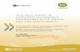 2018 OECD SURVEY OF CORPORATE GOVERNANCE FRAMEWORKS IN THE ... › pt › Comunicados... · 2018 OECD Survey of Corporate Governance Frameworks in the Middle East and North Africa